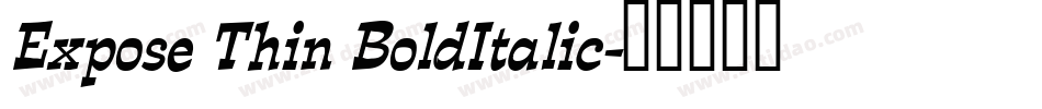 Expose Thin BoldItalic字体转换